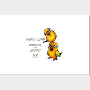 Save a Life!  Rescue & Adopt ~ Sun Conure Posters and Art